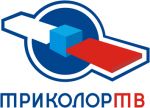 Комплект ТРИКОЛОР-СИБИРЬ (антенна, конвертор, ресивер GS-8304 и карта доступа на 12 мес)