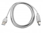 Кабель интерфейсный Gembird USB2 AM - BM 1.8m белый CC-USB2-AMBM-6