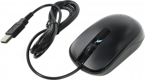 Мышь оптическая Genius DX-120 проводная USB черный 31010105100 