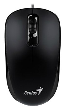 Мышь оптическая Genius DX-110 проводная USB черный 31010116100 