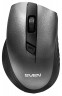 Мышь оптическая Sven RX-325 беспроводная USB серебристый SV-03200325WG - 