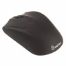 Мышь оптическая SmartBuy 325AG-K беспроводная USB черный SBM-325AG-K - 