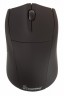 Мышь оптическая SmartBuy 325AG-K беспроводная USB черный SBM-325AG-K - 