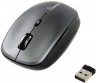 Мышь оптическая SmartBuy 311AG беспроводная USB разных цветов SBM-311AG-X - 