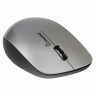 Мышь оптическая SmartBuy 309AG беспроводная USB разных цветов SBM-309AG-X - 