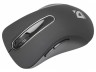Мышь оптическая Defender Datum MM-075 беспроводная USB красный 52076 - 