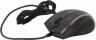 Мышь оптическая A4 Tech V-Track F3 проводная USB золотистый;черный - 